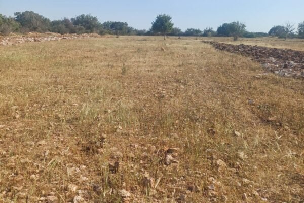 IMG-20251027-WA0000 IMG-20251027-WA0000