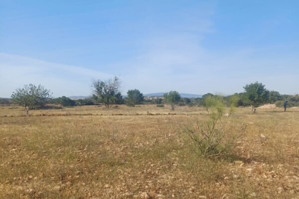 IMG-20251027-WA0001 IMG-20251027-WA0001