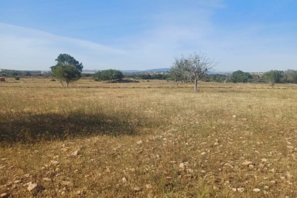 IMG-20251027-WA0002 IMG-20251027-WA0002