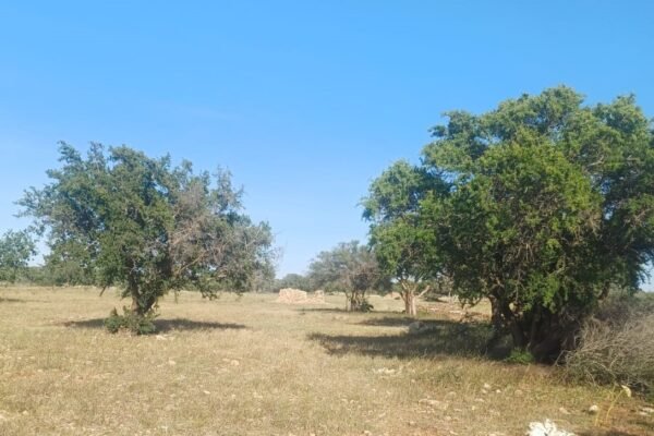 IMG-20251027-WA0015 IMG-20251027-WA0015